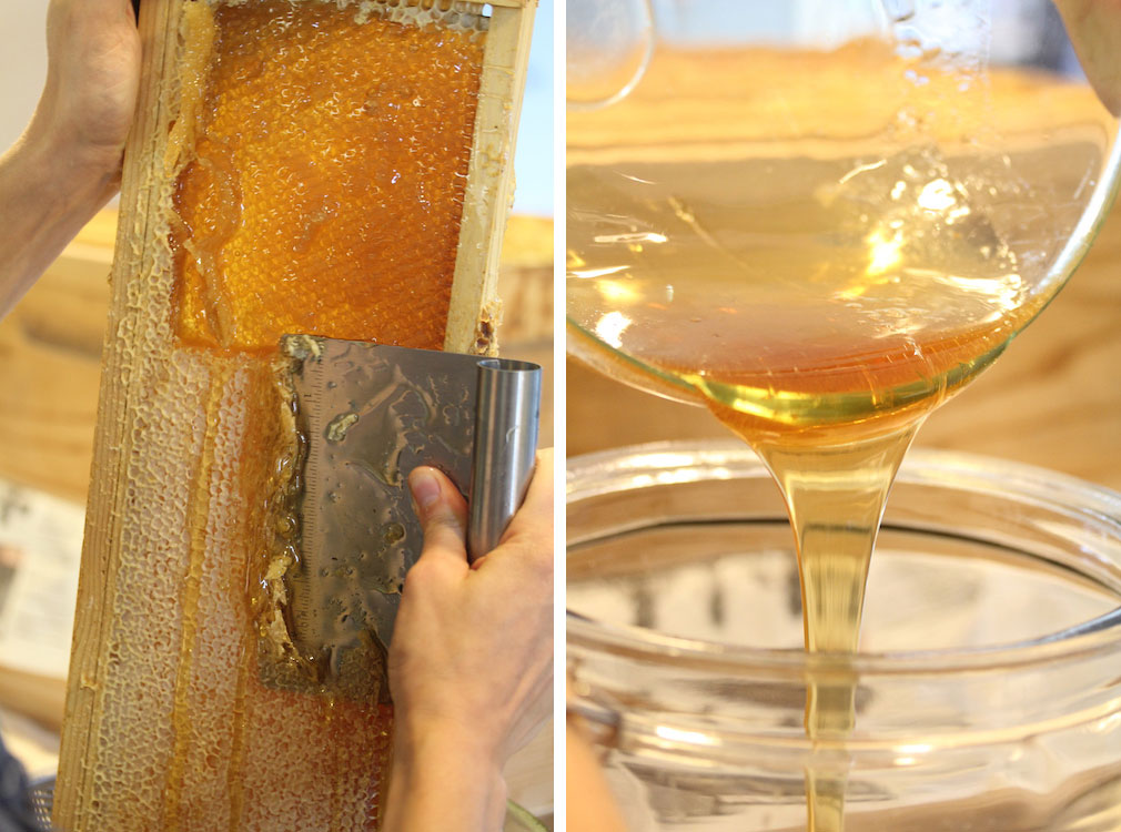 10 Benefits and Uses of Honey | milk + honey blogMilk + Honey Blog | The  Partisan | Health, Skin & Hair Care Tips